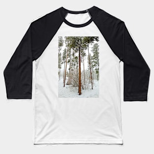 Winter Park Late Spring Study 1 Baseball T-Shirt